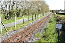 SH4761 : The Welsh Highland Railway at Pant Farm Crossing by Jeff Buck
