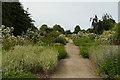 SE6756 : The Rogues Gallery Garden, Breezy Knees Gardens by Rich Tea