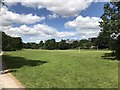 SJ8544 : Football pitch in Lyme Valley Park by Jonathan Hutchins