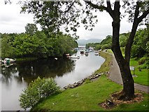 NS3982 : River Leven at Balloch by Roger Cornfoot
