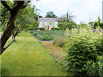 S5310 : Walled Garden, Mount Congreve by David Dixon