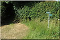 Footpath towards Tusmore Park