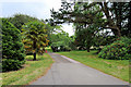W7871 : Path into Fota Gardens and Arboretum by David Dixon