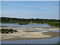 TM4766 : View across The Scrape from the East Hide by Chris Holifield