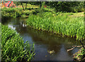 Roath Brook