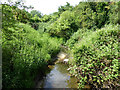 The Stour Brook, Haverhill