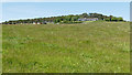 Field below Castlecraig