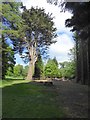 Play area and picnic area, Dyffryn Gardens