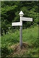 SCC Fingerpost Near Venn Cross