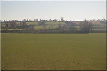 ST5730 : Field near wheathill by N Chadwick