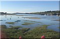 Teifi Estuary