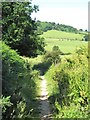 Bridleway above Brickshed Cottage