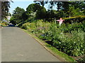 Flower border, Botanic Gardens