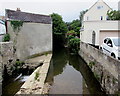 Upstream along the Lym, Lyme Regis