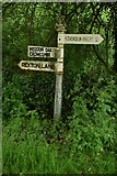 ST1135 : SCC Fingerpost at Lower Vexford by Andrew Riley