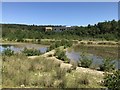 Dam Green with new development visible