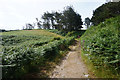 Coastal path towards Trenear