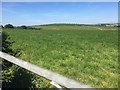 View across fields towards hill