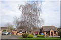 Bungalows in Churchfields