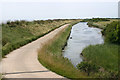 TR0392 : View of seawall south-west from Fisherman's Head, Foulness by David Kemp