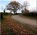 Bend in Coppice Green Lane near Shifnal