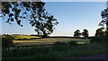 Farmland beside South Kilworth Road