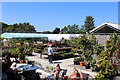 Jacksons Boutique Garden Centre (2)