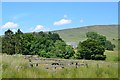 Blackburn farm, Newcastleton