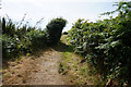 Coastal path towards Gap Point, St Mary