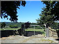 Gateway and drive to Pentre Farm