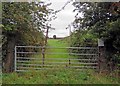 Gate into a field with barbed wire