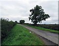 Berrycot Lane north-eastwards