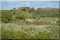 Pillbox, Pett