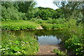 Ford at Edrington Castle Mill