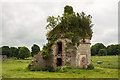 M7291 : Ireland in Ruins: French Park Smokehouse, Co. Roscommon (1) by Mike Searle