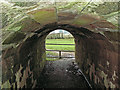 Pedestrian tunnel under Cumbrian Coast Railway (1)