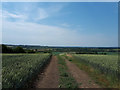 The view from Hannington Hill