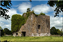 M2549 : Castles of Connacht: Moyne, Mayo - revisited (1) by Mike Searle