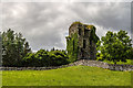 M2745 : Castles of Connacht: Cloghanower, Galway (1) by Mike Searle