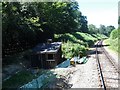TQ3726 : View from the back of a Bluebell Railway train - Line-side hut near Treemans by Nigel Thompson