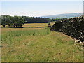 Field and Wall descending Warren Hill