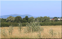 SO9529 : Malvern Hills in the distance by Des Blenkinsopp