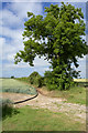 SE9760 : Field entrance and tree, near Garton-on-the-Wolds by Paul Harrop