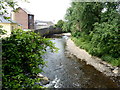 Camowen River, Omagh