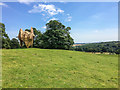 SE2813 : Yorkshire Sculpture Park by Ian Capper