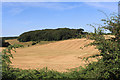 Fields and Woods north of Wycombe Road