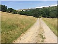 Track leading to Cwm Ciwc