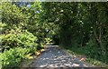 Streat Lane near Gallops Farm