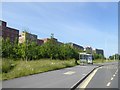 Bus shelter and university buildings by A483