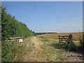 Farm track towards Park Wood